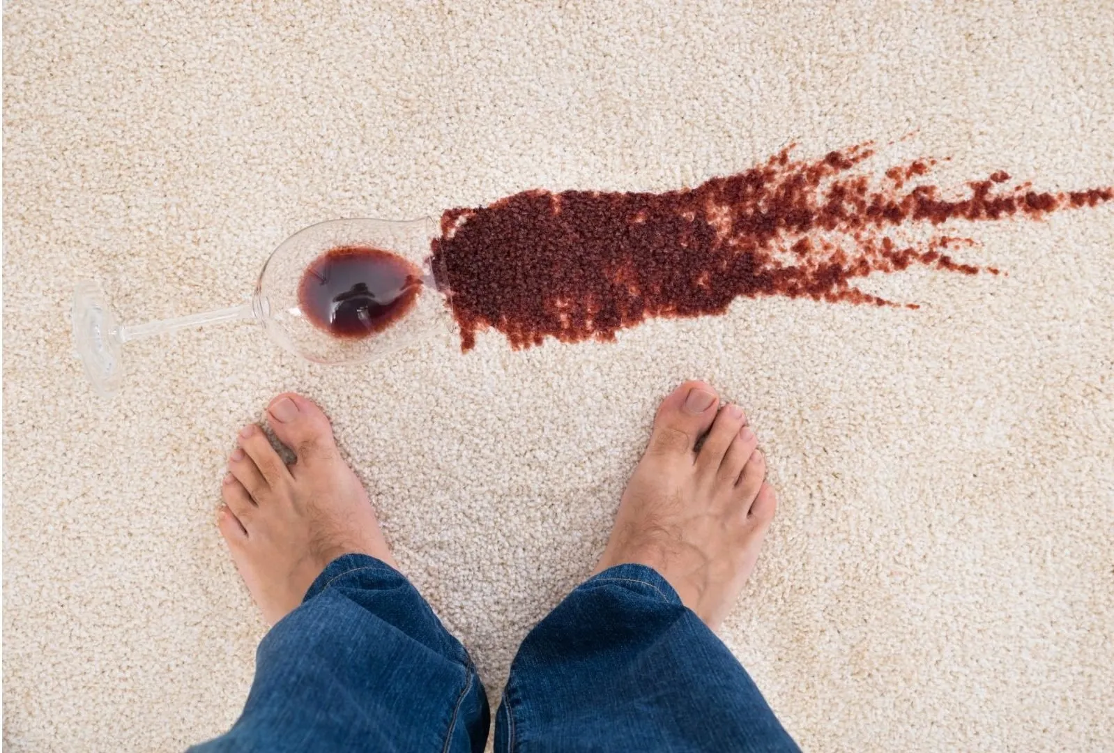 vinhosofa2-e1637332964695.jpg